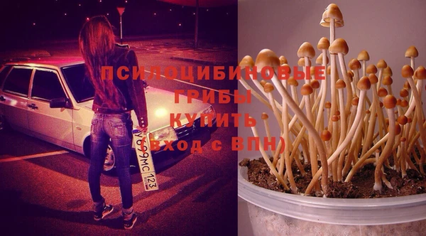 прущая мука Инта