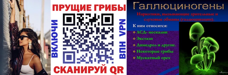 Купить  Всеволожск  Псилоцибиновые грибы Magic Shrooms 